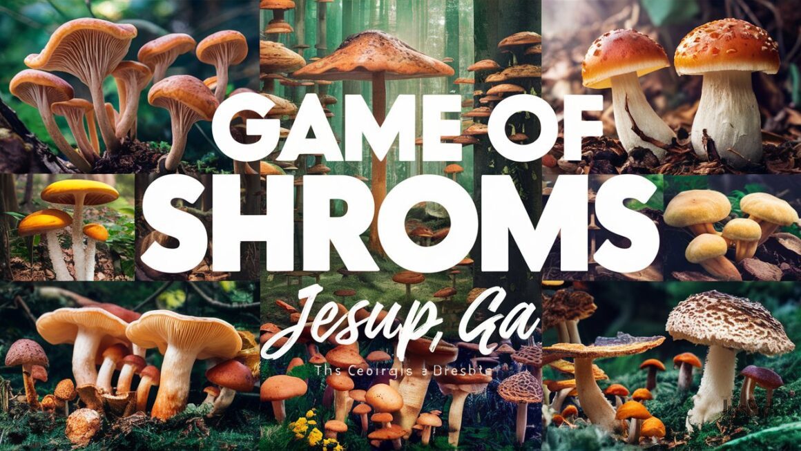 Game of Shrooms Jesup GA